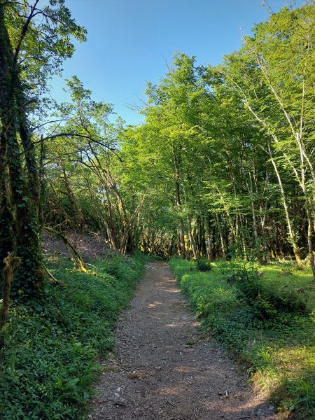 Circuit VTT 5 : Lac d'Armaille