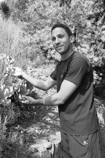 Découverte du Domaine du Rayol et du jardin des Méditerranées_Avignon