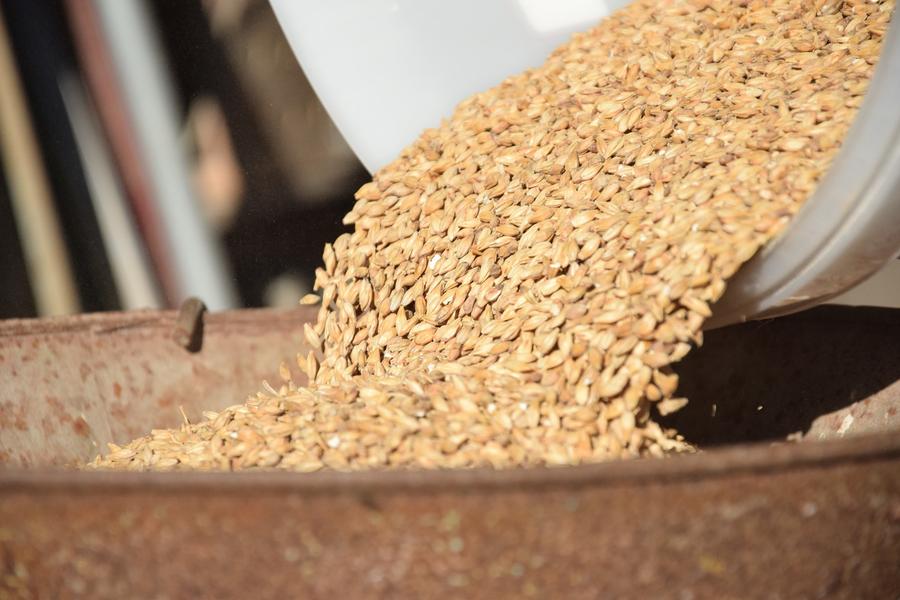 Atelier brassage à moins d'une heure de Lyon - Brasserie du palais à Optevoz aux Balcons du Dauphiné