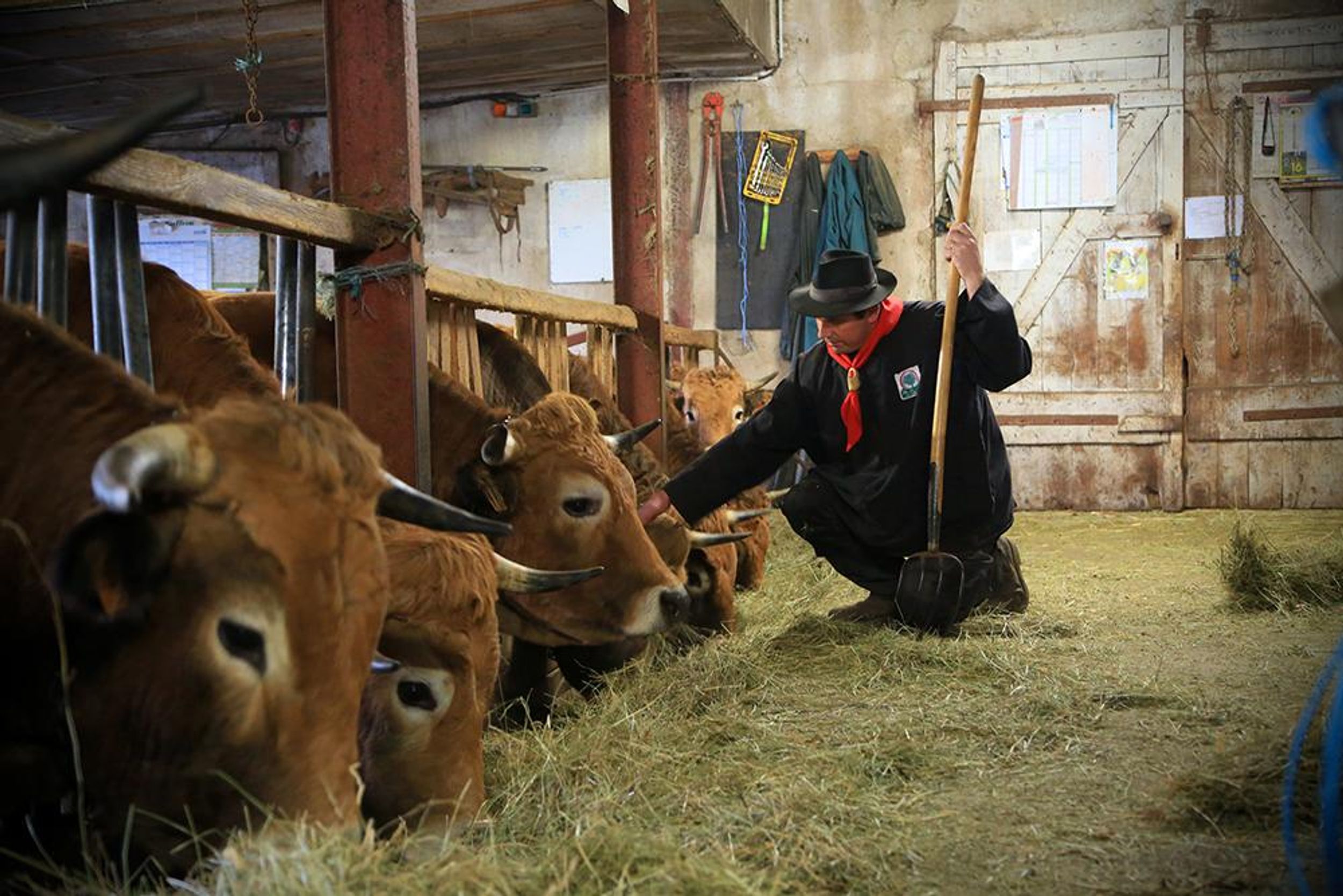 Trail N°10 - La Croix de la Salcette