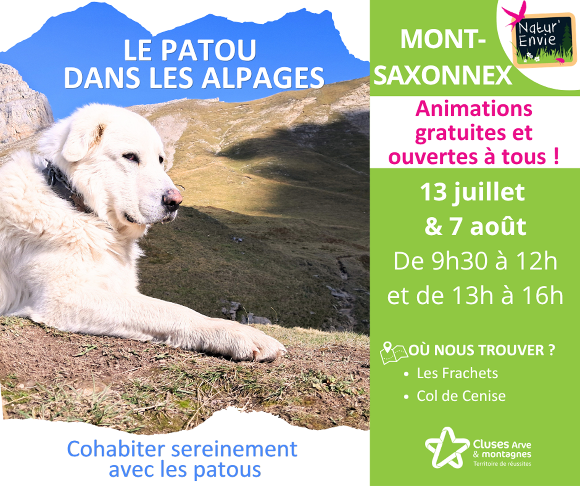 Sensibilisation des randonneurs face aux chiens de protection - Mont-Saxonnex_Mont-Saxonnex