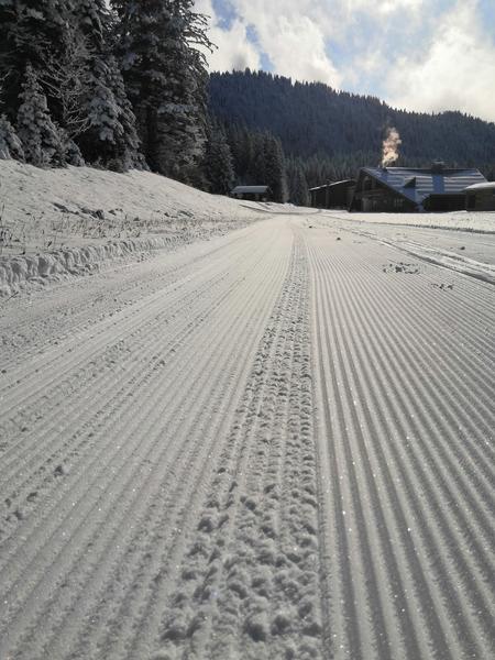 Piste