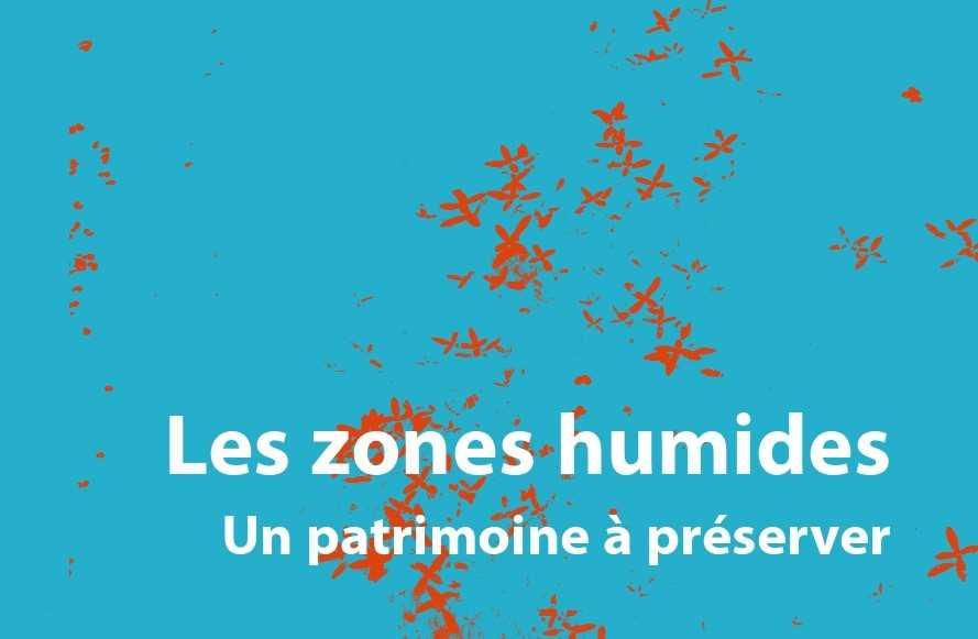 http://Exposition%20Les%20zones%20humides%20à%20la%20Fourmi%20Verte