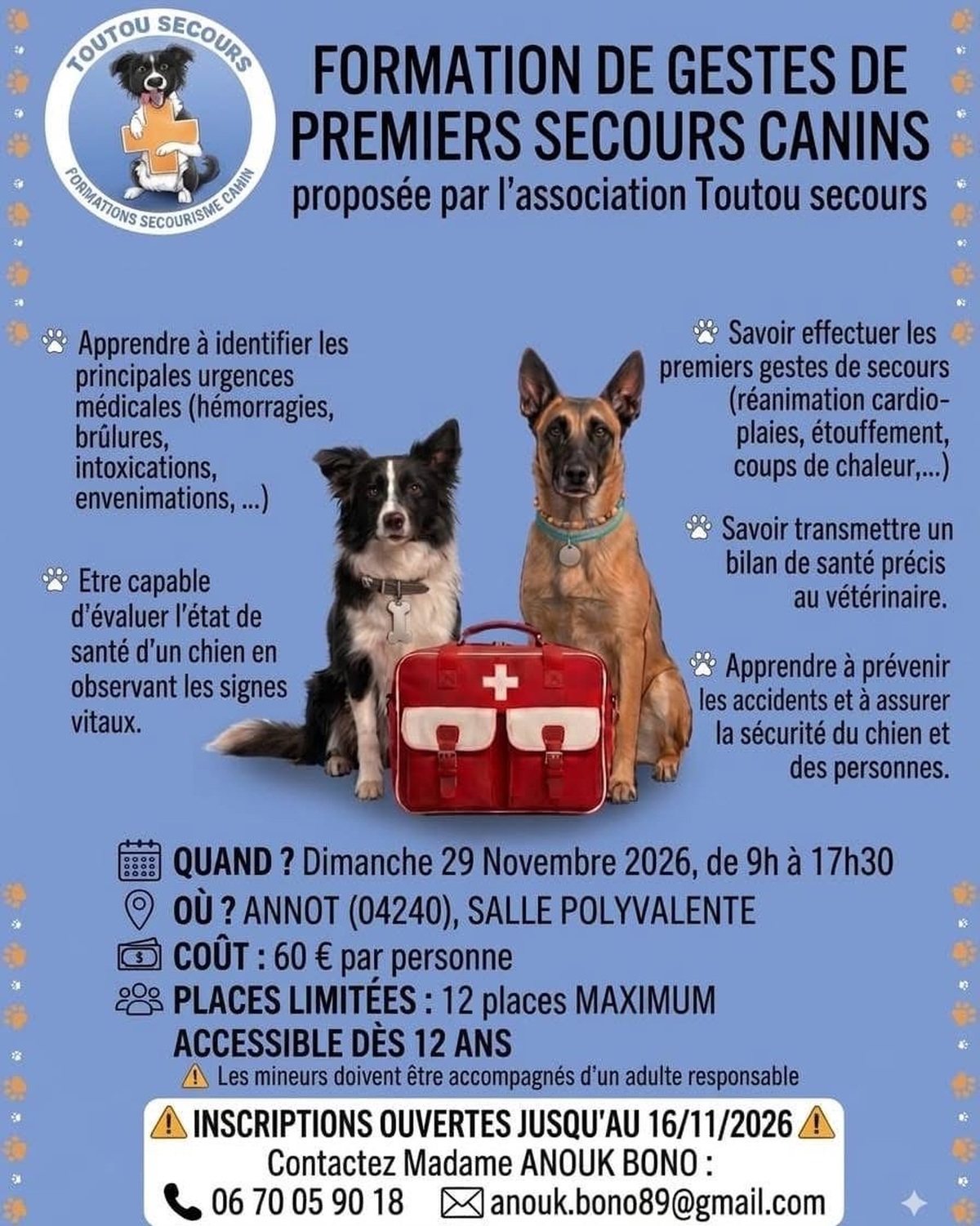 Formation 1ers secours canins