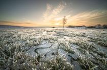 Exposition photo - Mes racines : beauté des terres froides_Saint-Victor-de-Cess…