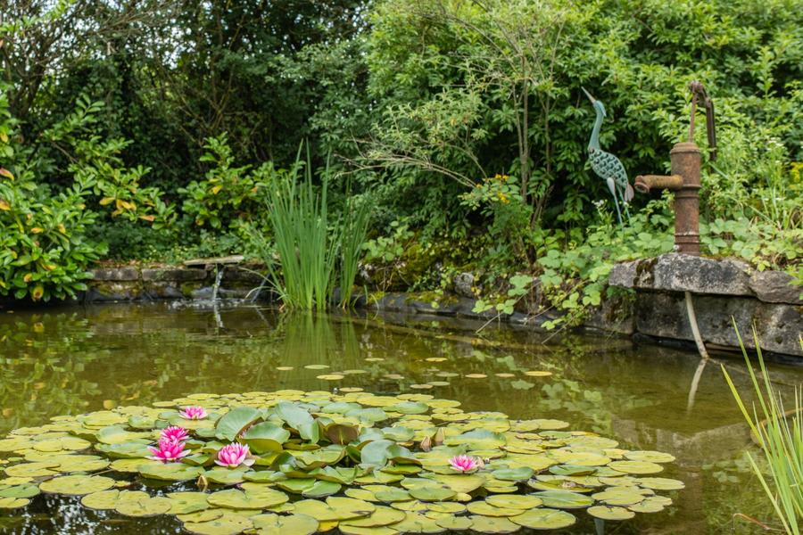Chambres d'hôtes Les Galapons - Trept - Balcons du Dauphiné