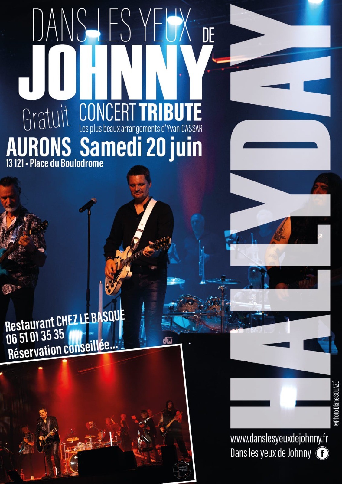 Concert : Tribute to Johnny Hallyday