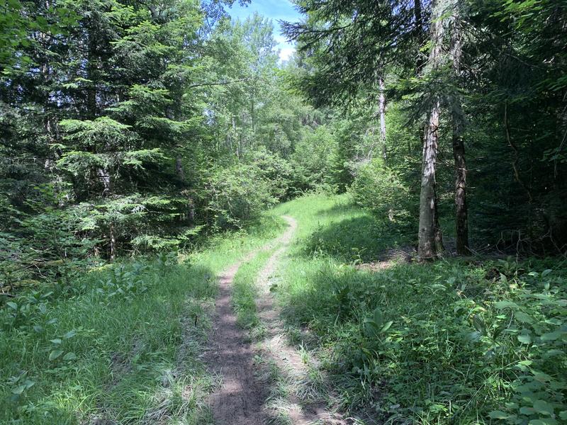 Chemin forestier Chemin forestier