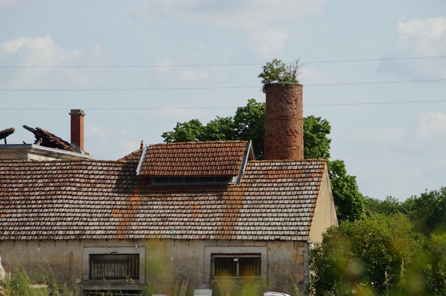 La laiterie coopérative et la porcherie de Bords
