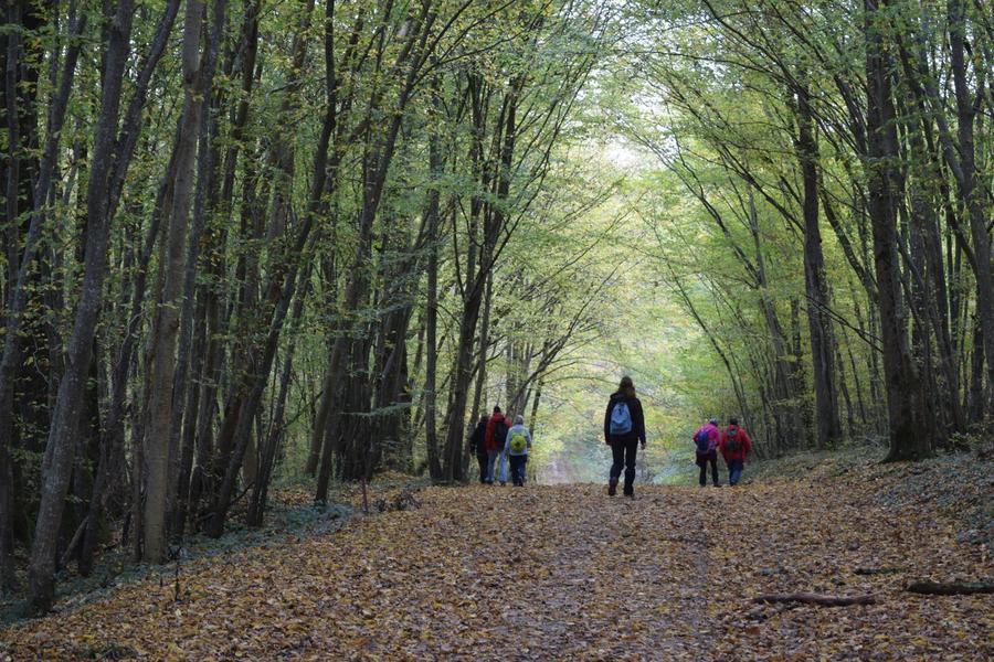 63e Marche des Feuilles Mortes