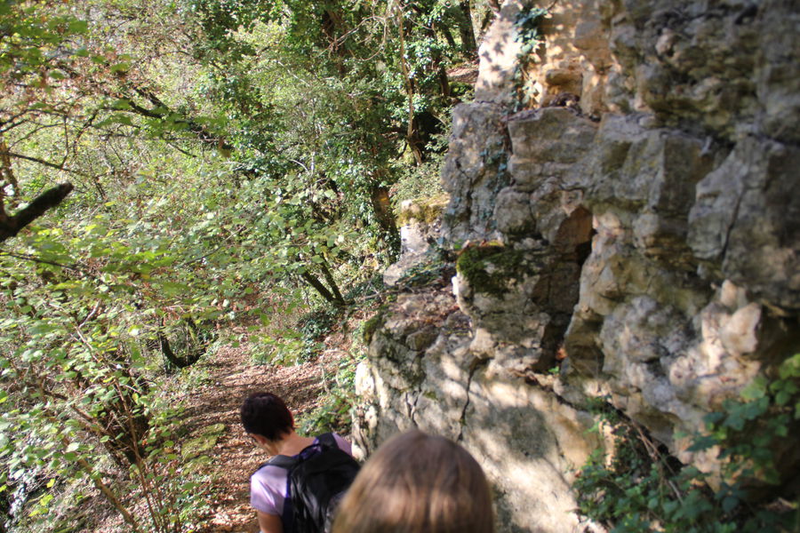 Groote de La Roche - Salavre