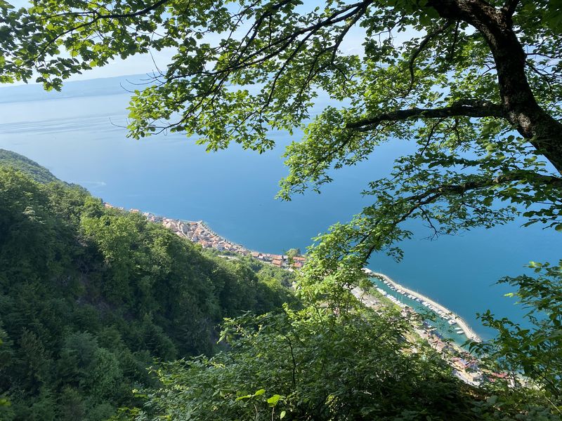 Sur le chemin des Bacounis