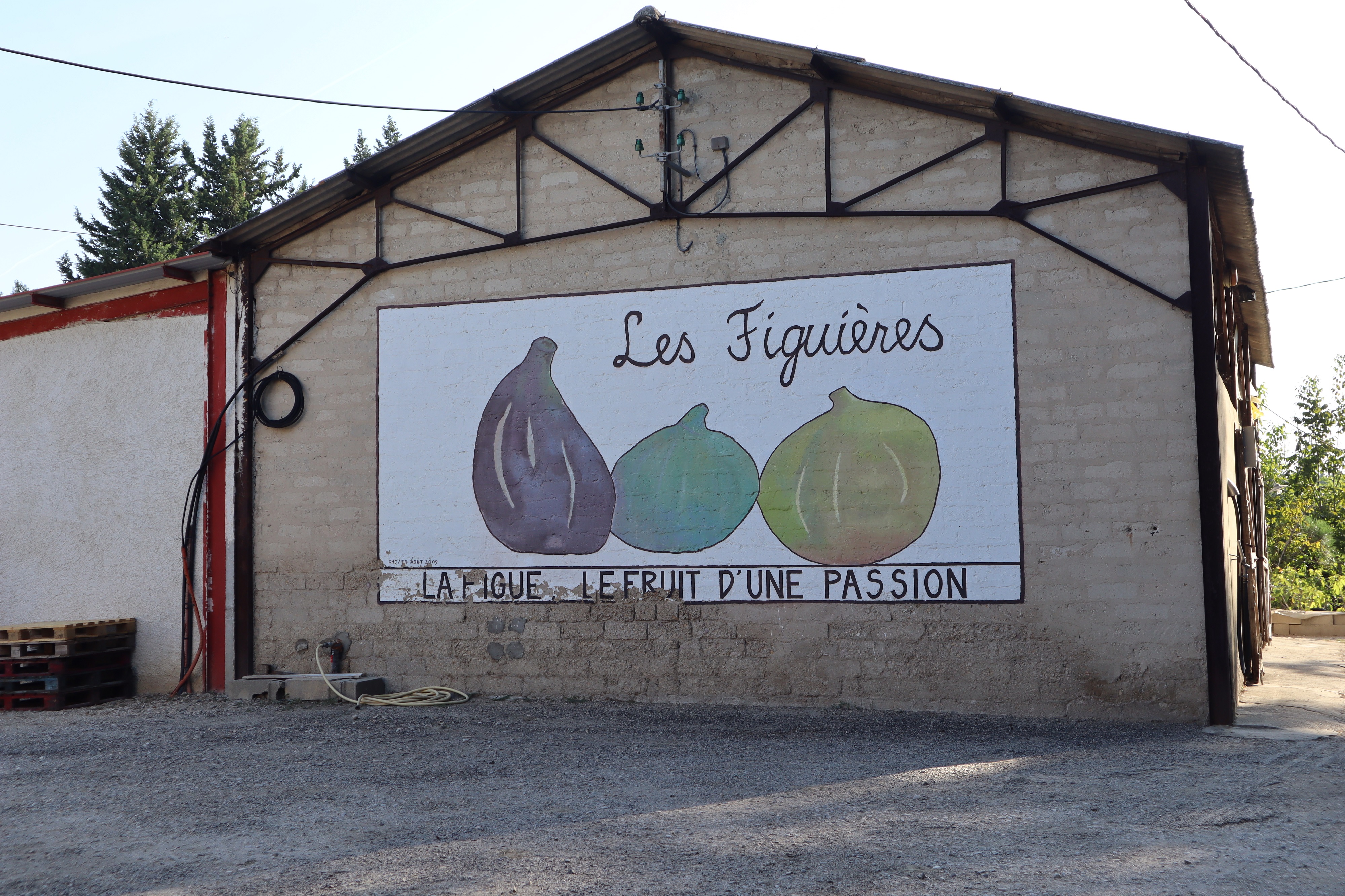 Les Figuières du Mas de Luquet