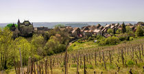 Photo : Village de Montagnieu