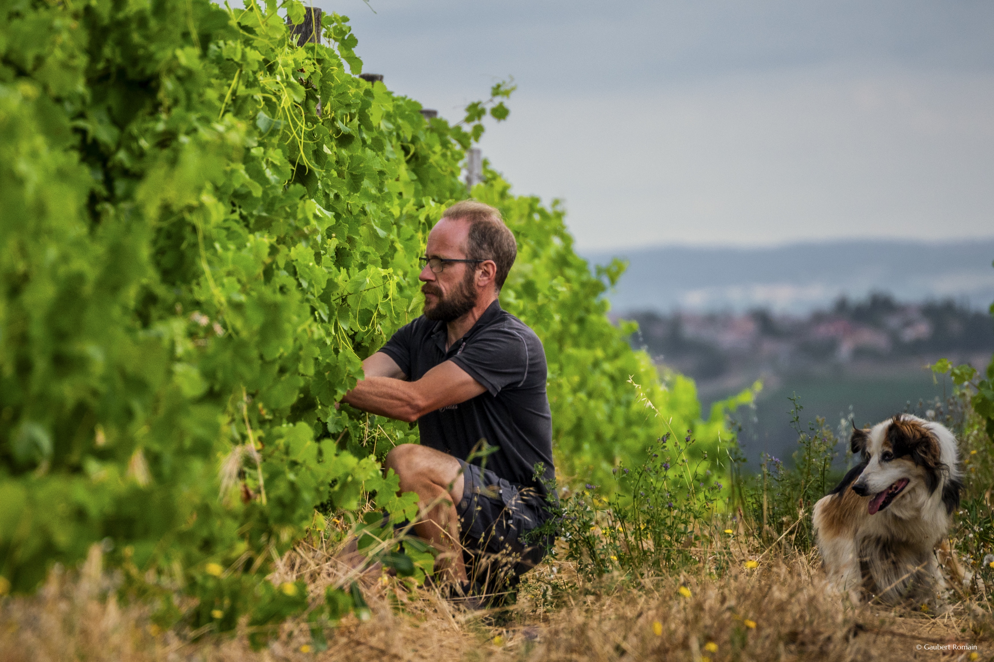 Domaine des Bardes_Eclassan