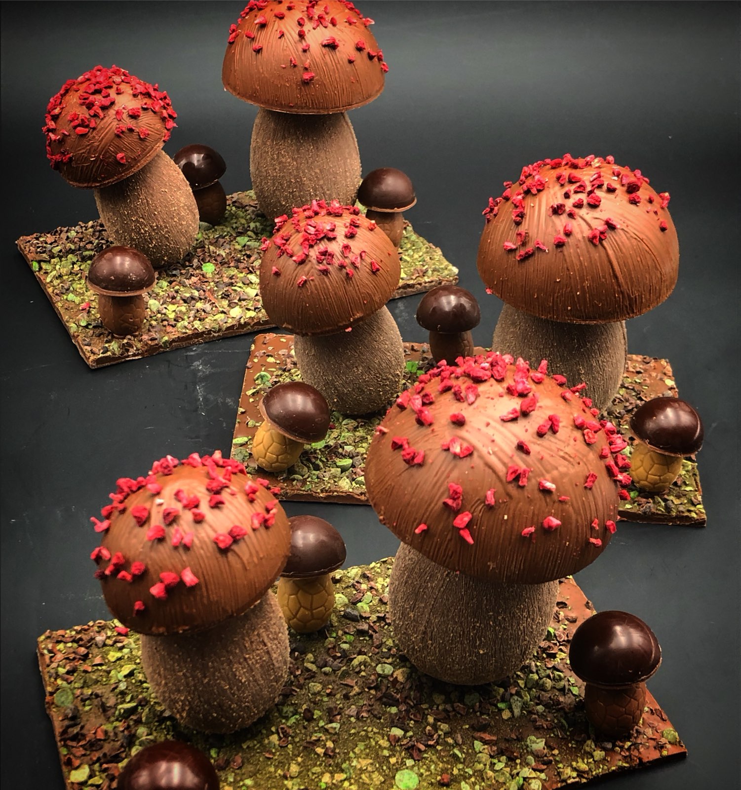 Composition champignons en chocolat L'Automnal gourmand ©DominiqueRiou IMG_40831