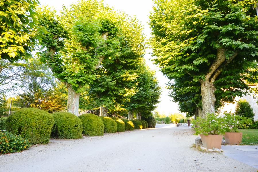 L'allée d'entrée au gîte 5* du Domaine du Manoir aux Avenières-Veyrins-Thuellin L'allée d'entrée au gîte 5* du Domaine du Manoir aux Avenières-Veyrins-Thuellin