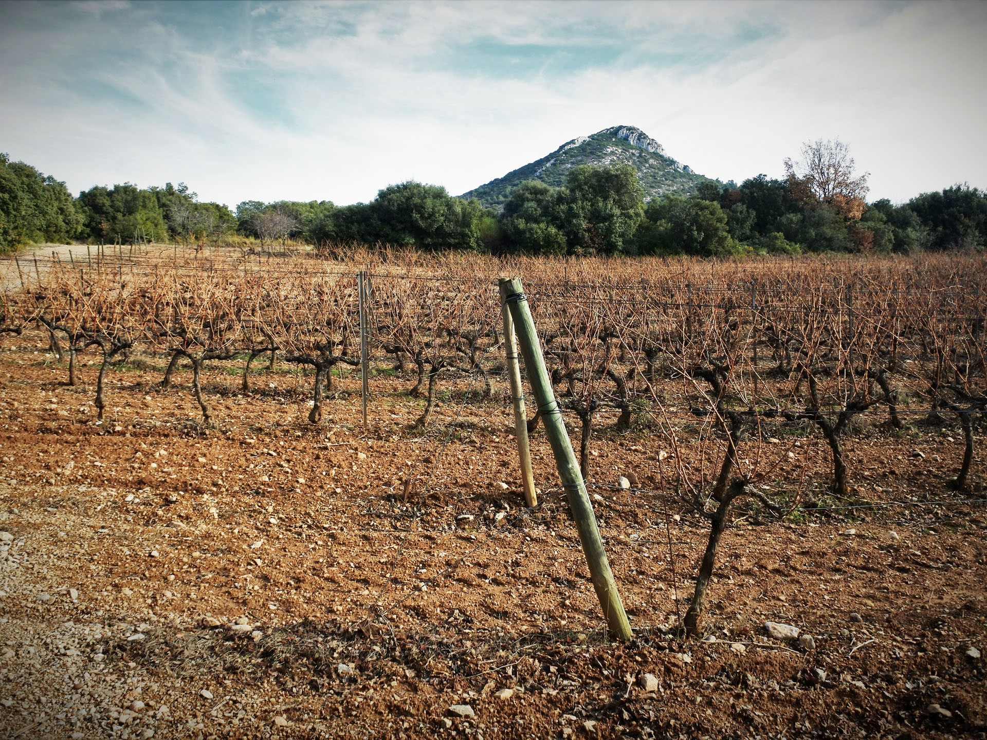 Le vignoble aixois, le vignoble des bastides - Un week-end à la montagne de la Vautubière