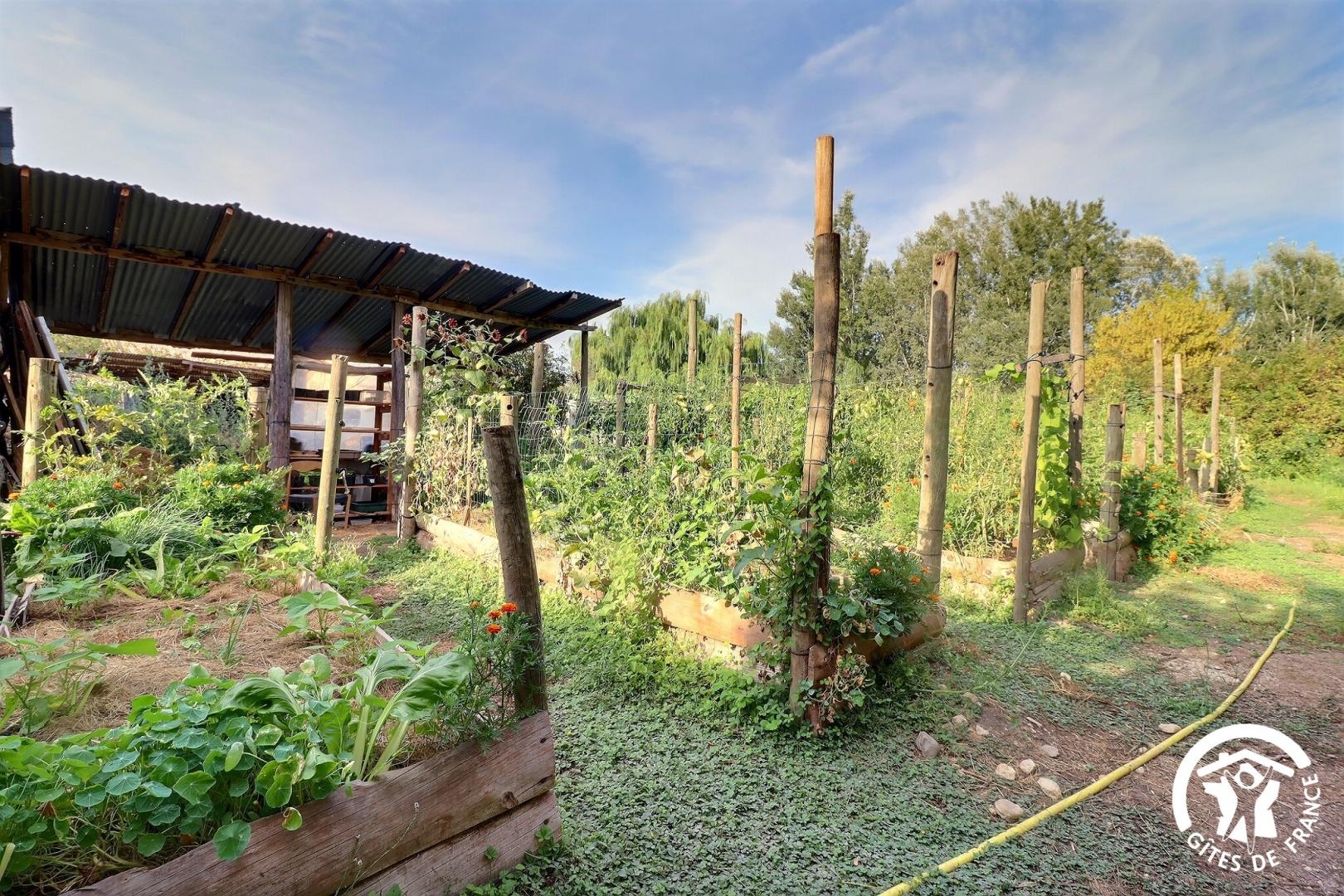 Les Truck Lodges Les Animaux et Marino, Saint-Andiol - photo 10