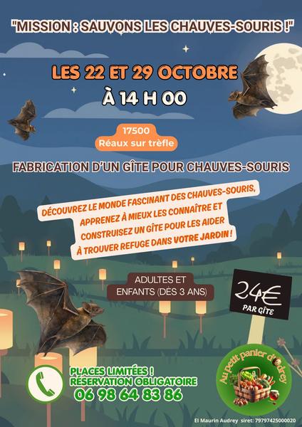 Mission : Sauvons les chauves-souris