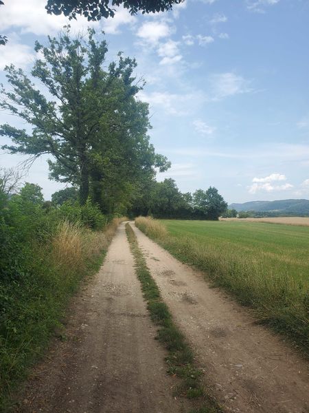 Chemin de campagne