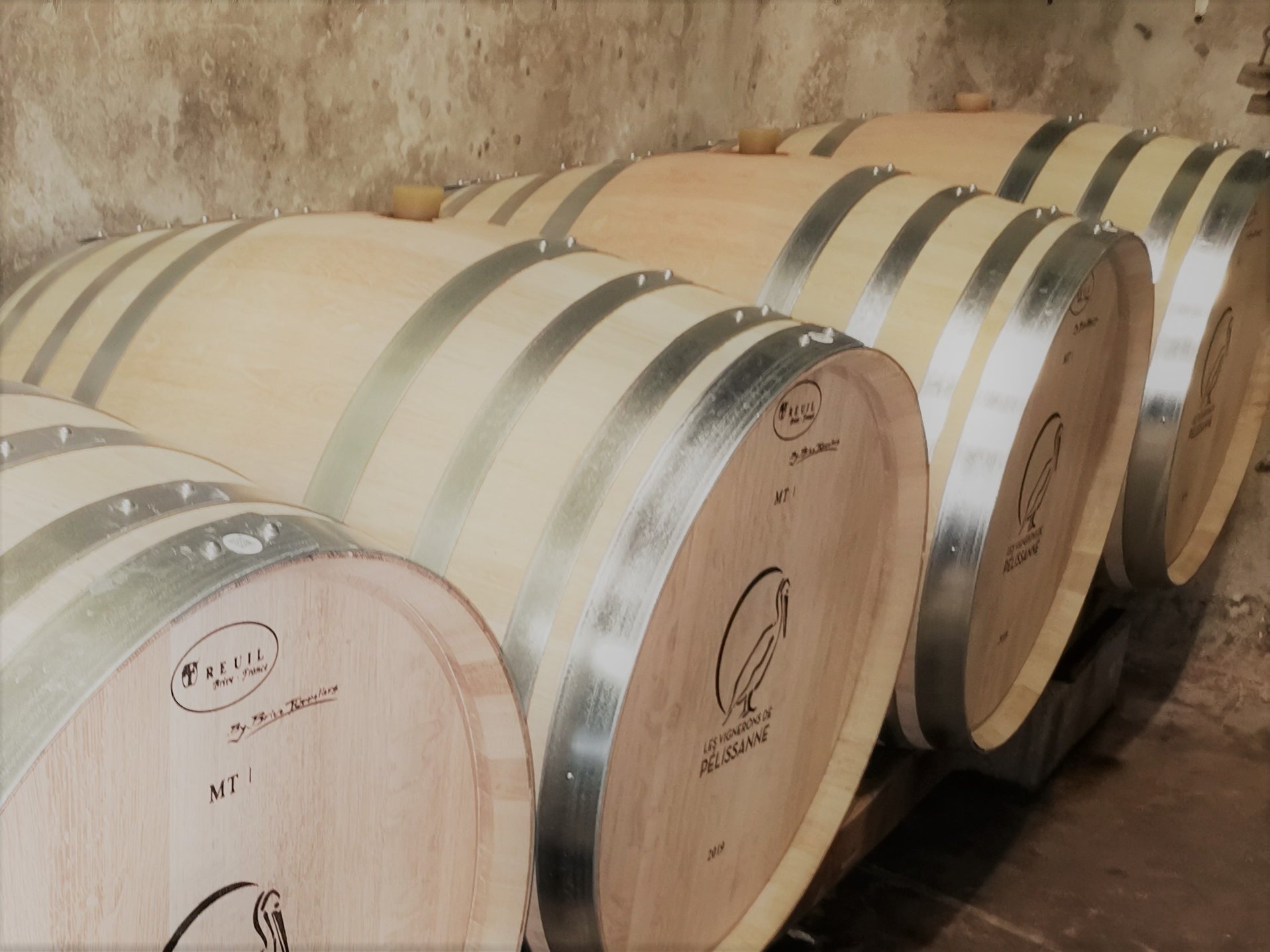 Les vignerons de Pélissanne - photo 2