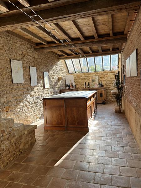 Visite sigature - Château de Lachassagne