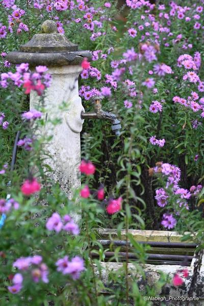 Le Clos Dauphin à La Balme les Grottes - Balcons du Dauphiné - Isère