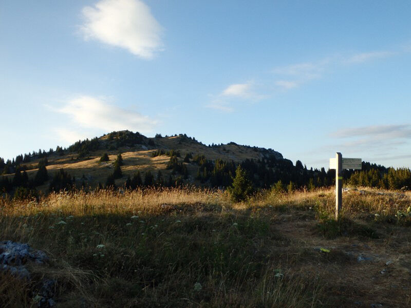 Circuit trail Boucle de Nifflon