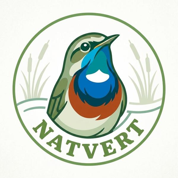 Conférence Natvert
