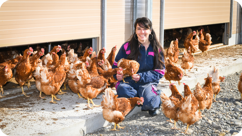 Adoptez une poule!