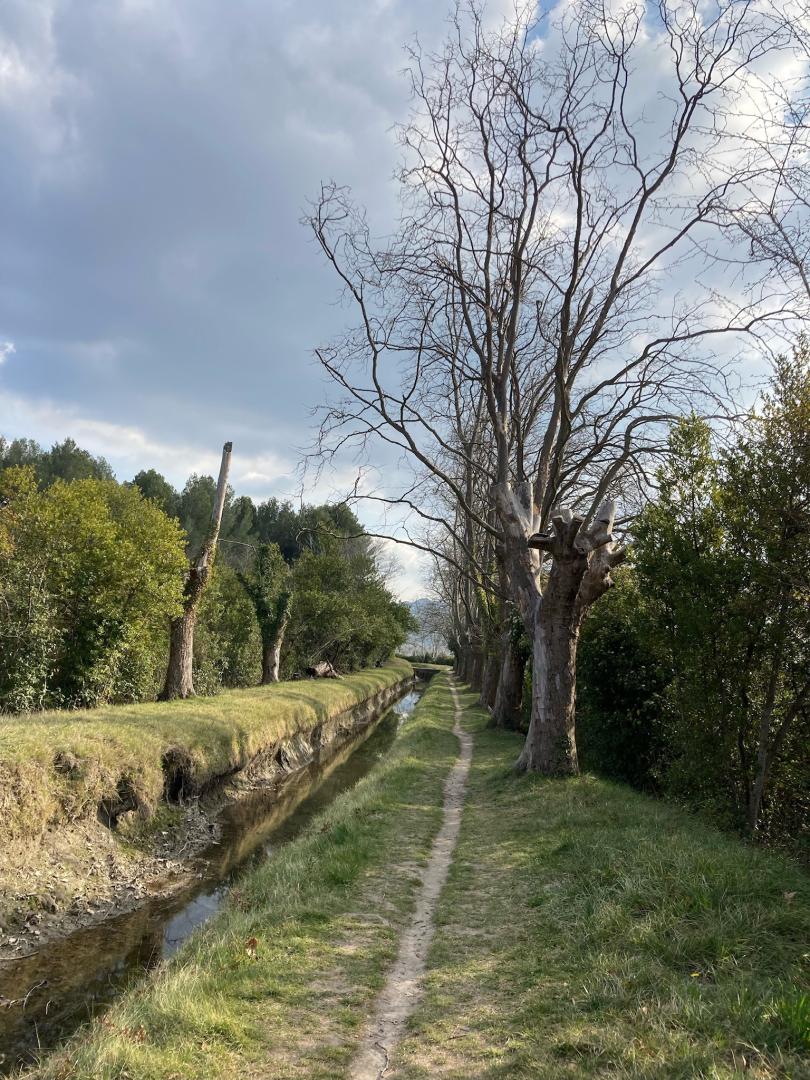 Mas Clementine, Eyragues - photo 16