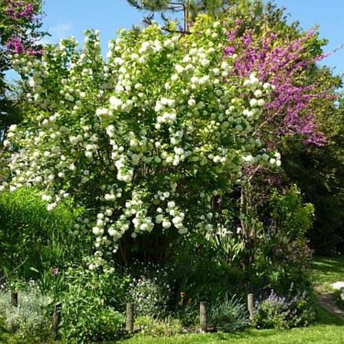 La ferme fleurie de Joëlle | Rendez-vous aux jardins