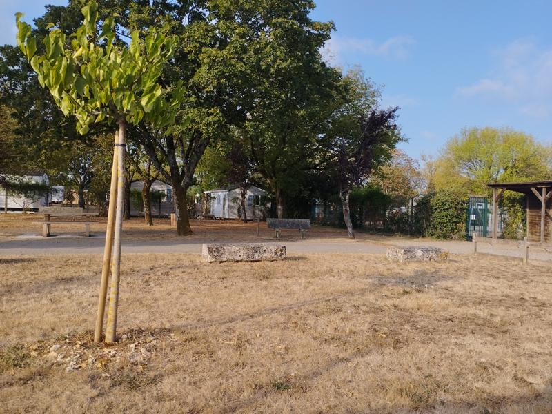 Terrains de pétanque