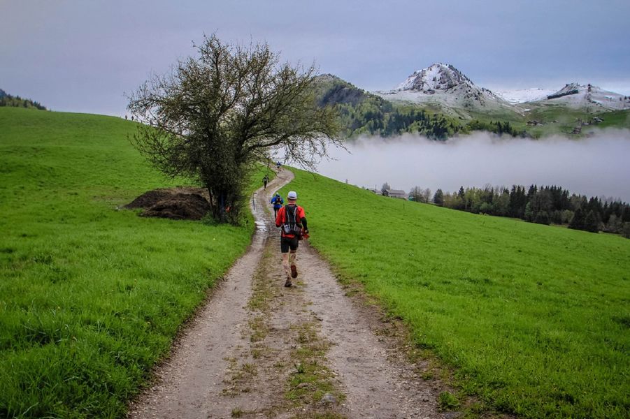 Trails de la Vallée du Brevon