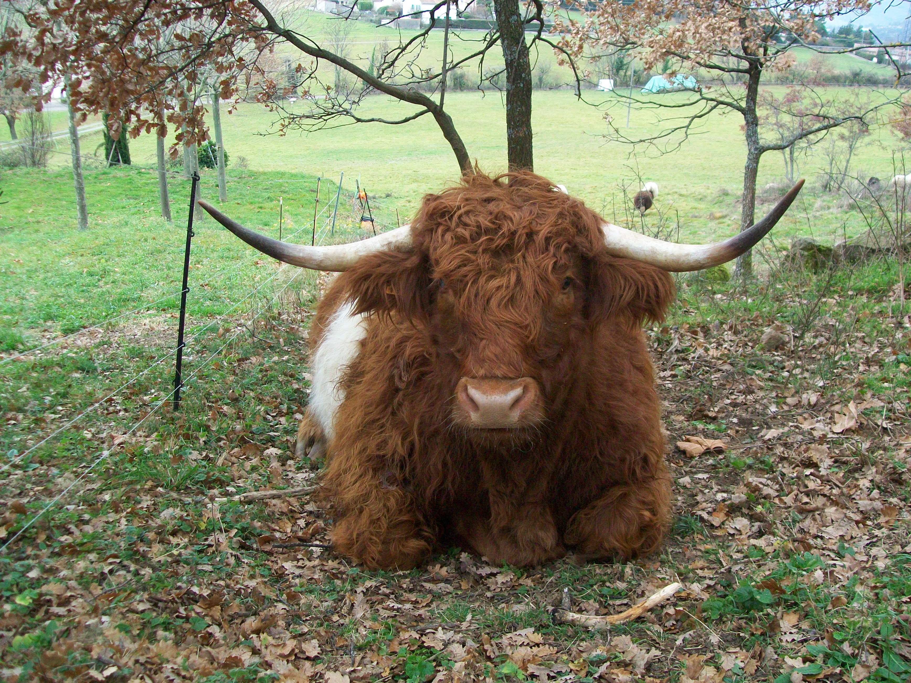 Frédéric Favrolt_Peaugres