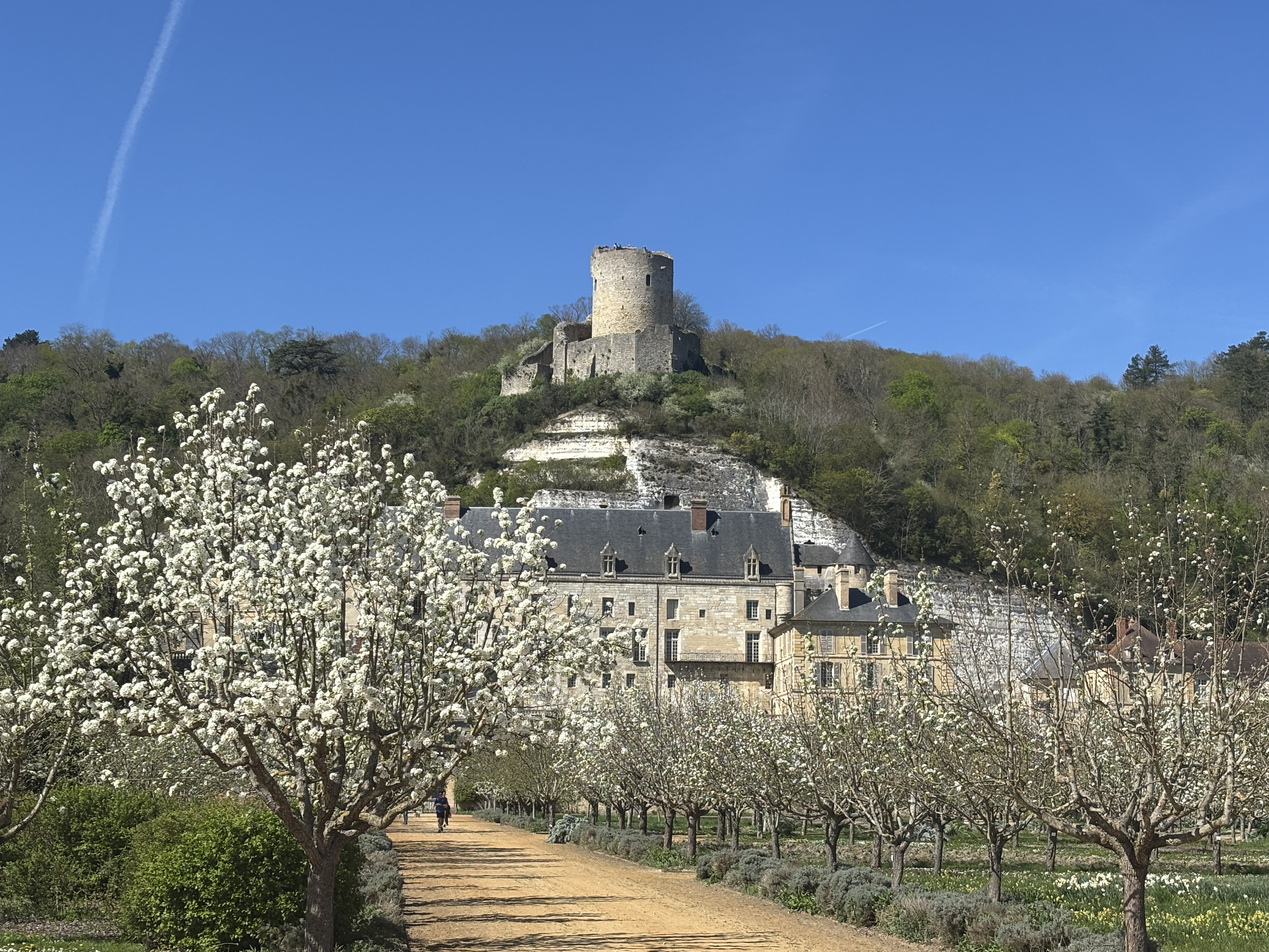 Vexin millénaire