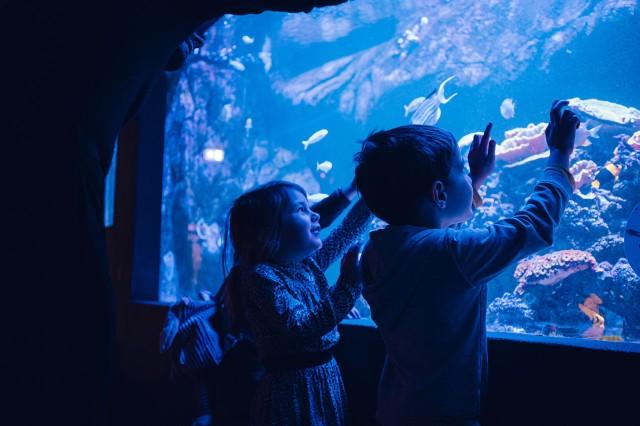 Aquarium tropical du Palais de la Porte Dorée_Paris 12ème 