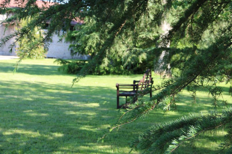 Arbres et nature au Domaine de la Garde_Bourg-en-Bresse