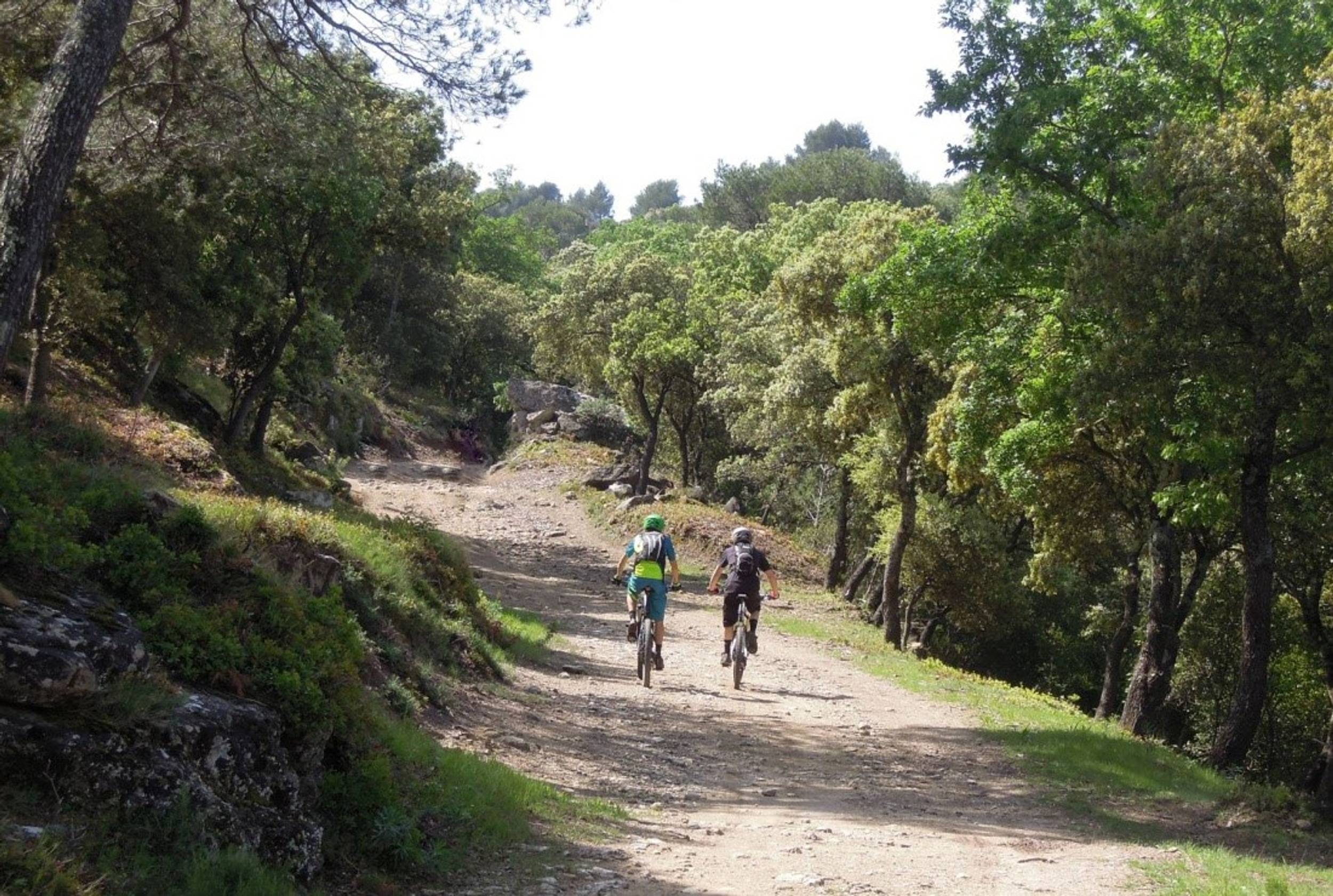 TARASCON – La forêt méditerranéenne à VTT — photo 2