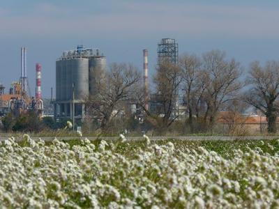 Berre l'Etang : la randonnée des amis, Berre-l'Étang - photo 3