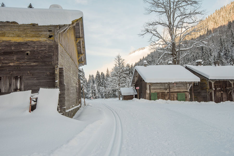 Ski de fond au Lac de Montriond