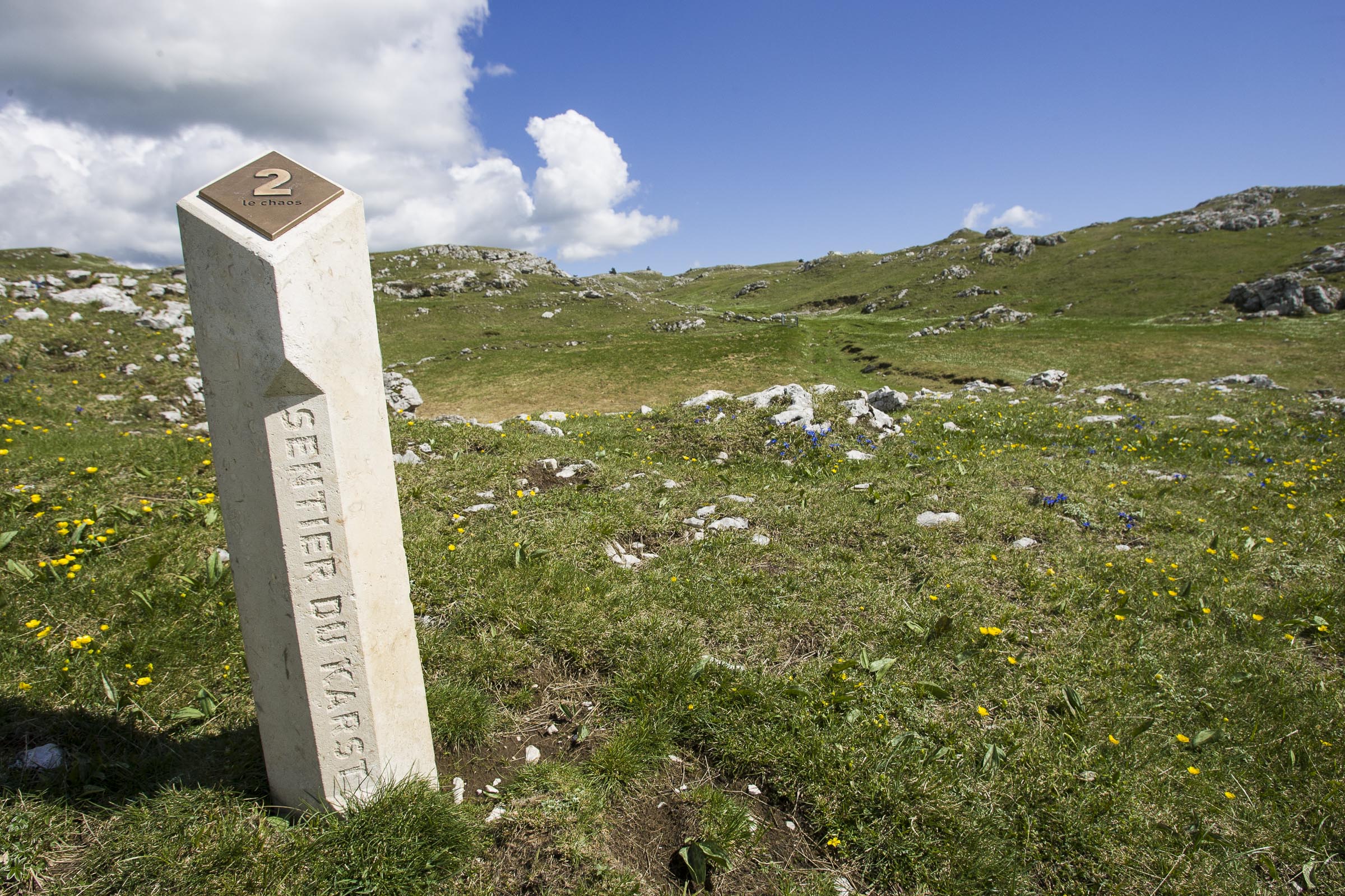 borne 2 sur le pâturage  en herbe et pierre du sentier du karst