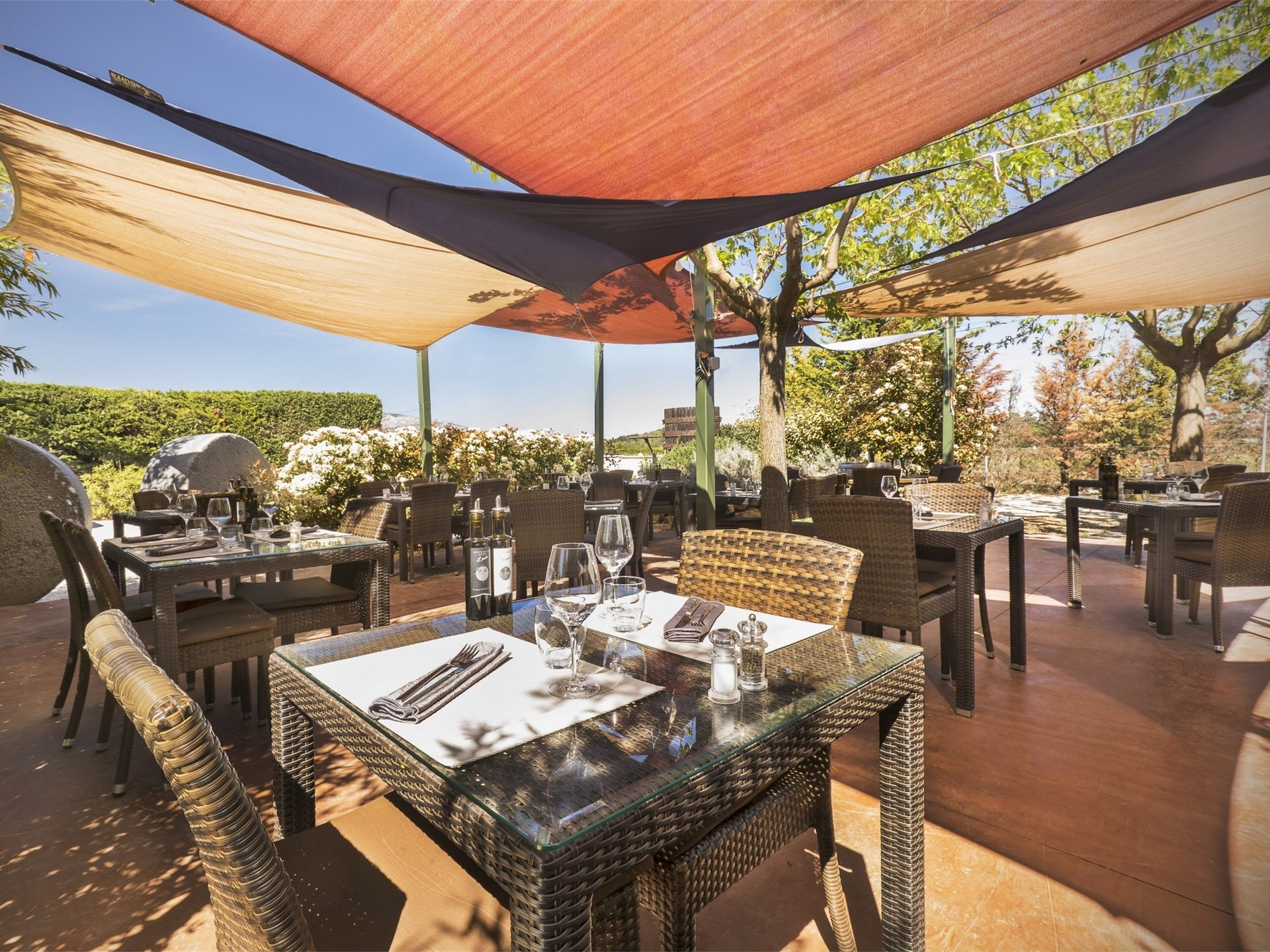 Ferme auberge Terre de Mistral - photo 2