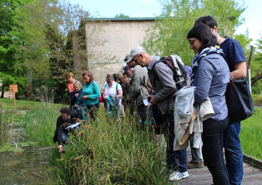 Jardin Botanique de Launay