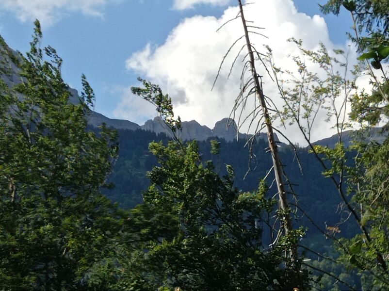 sentier pédestre : balade au Bois de Fessy