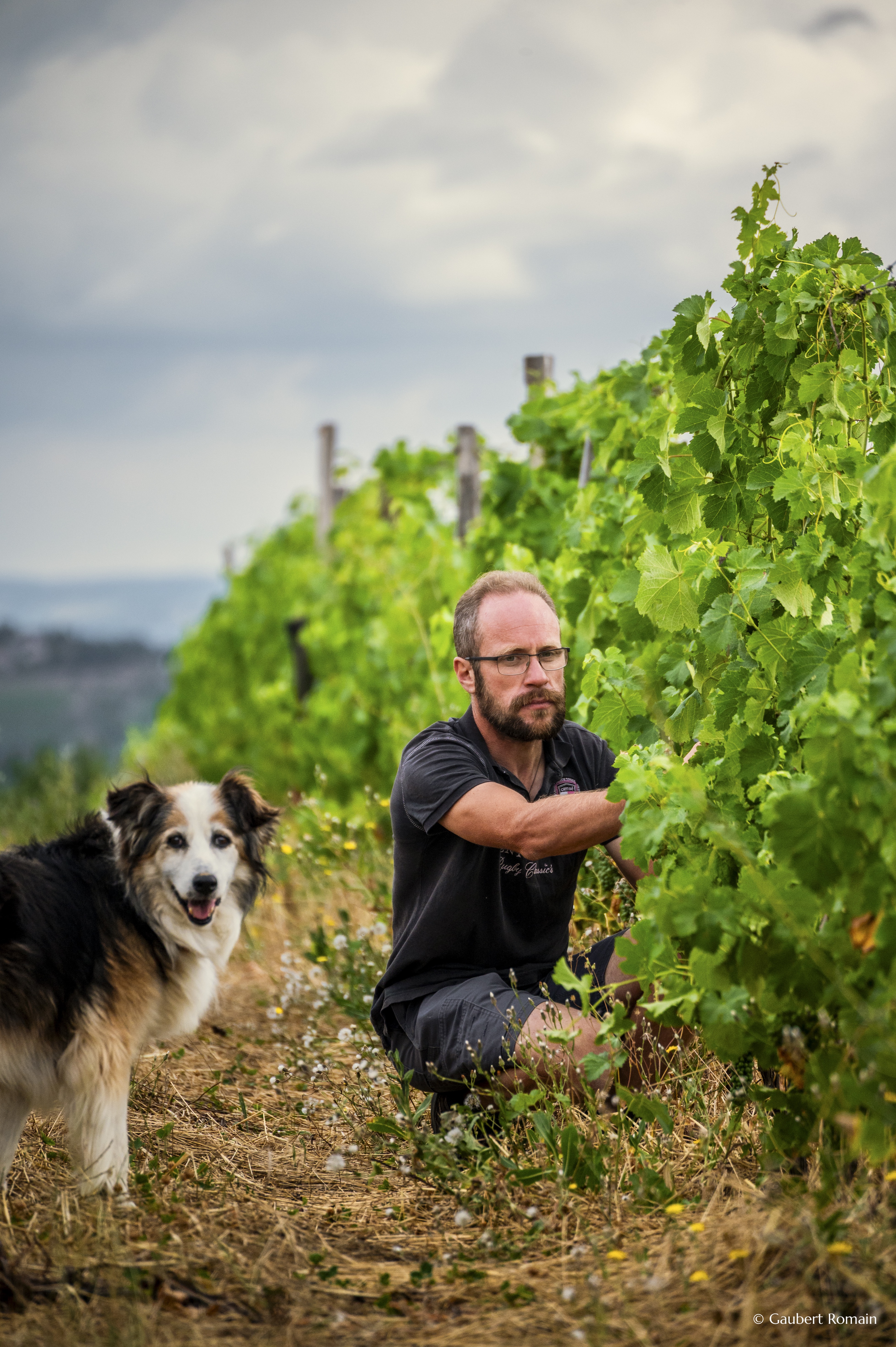 Domaine des Bardes_Eclassan