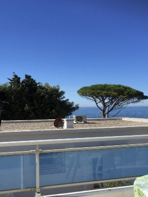 Le Cygne, Sausset-les-Pins - photo 8