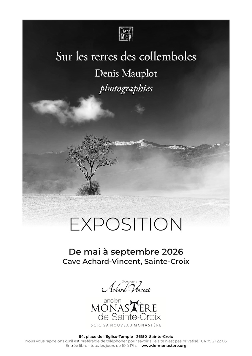 Exposition- Sur les terres des collemboles