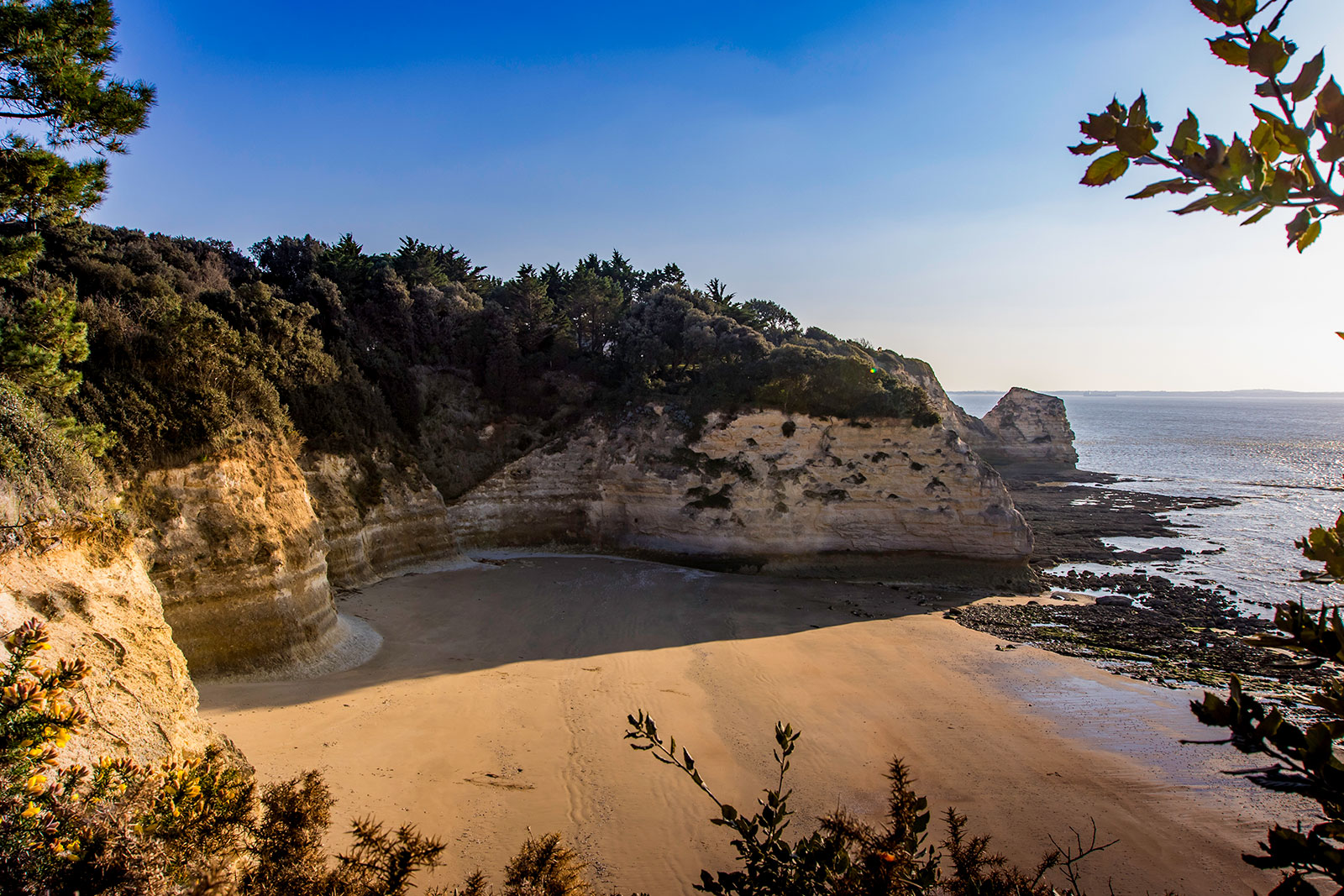 Plage du Concheau de Suzac